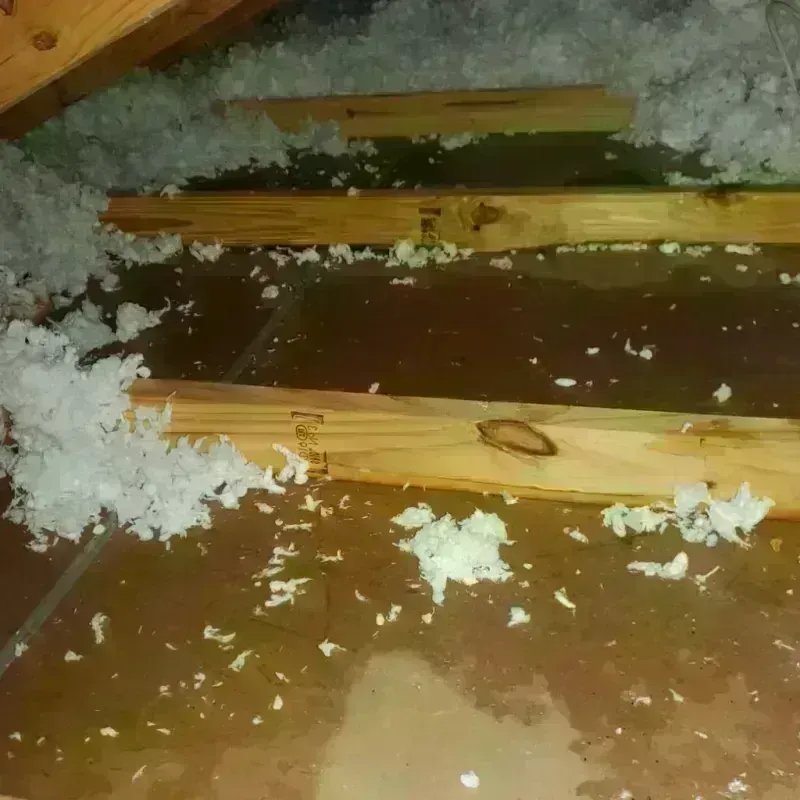 Attic Water Damage in Bellefonte, PA